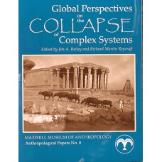 Global Perspectives on the Collapse of Complex Systems